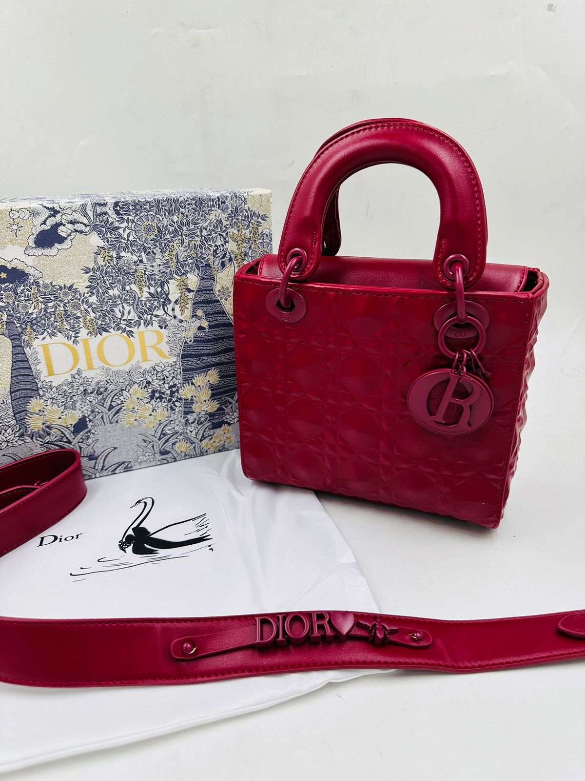 OP-DIOR-HANDBAG